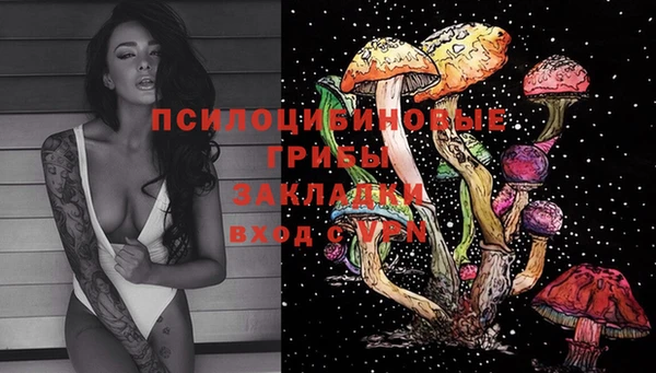 крисы Майский